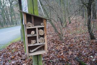 Zoo w Poznaniu zimą