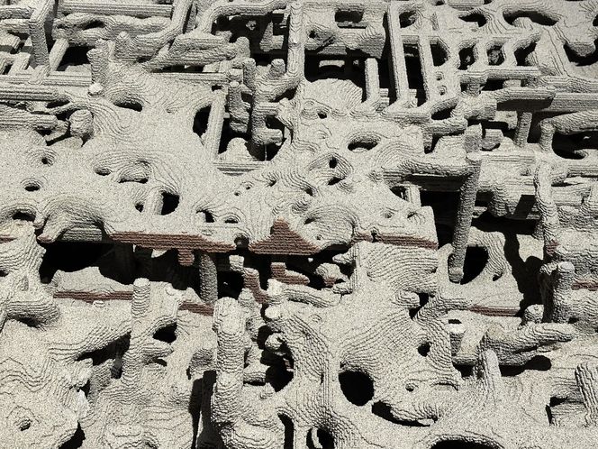 Główna Wystawa na Biennale Wenecja 2025