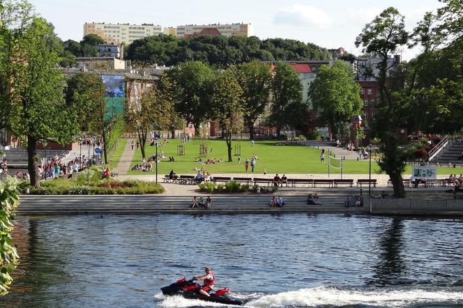 Festyn ekologiczny w Bydgoszczy. Tu zamienisz śmieci na rośliny