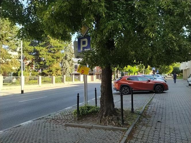 Kierowcy w weekend nie zaparkujecie w centrum. Utrudnienia przez Rzeszów Bike Festival 