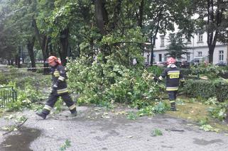 Nawałnica przeszła nad Krakowem: Zalane ulice, powalone drzewa, utrudnienia w komunikacji