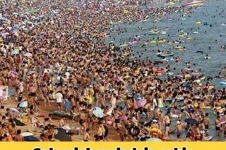 Wakacje rozpoczęte! Polacy ruszyli na plaże! Zobacz najlepsze MEMY!