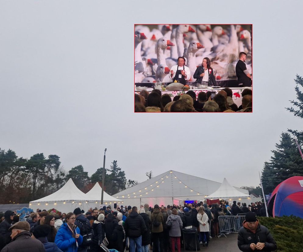 Kujawsko-Pomorski Festiwal Gęsiny 2025: Pokaz Michela Morana i tłumy uczestników