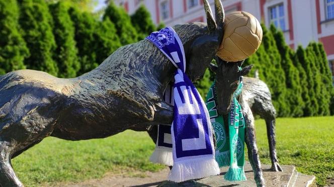 Przy okazji derbów w 2020 roku poznańskie koziołki, które wtedy znajdowały się w parku Chopina, ubrane zostały w barwy obu poznańskich klubów