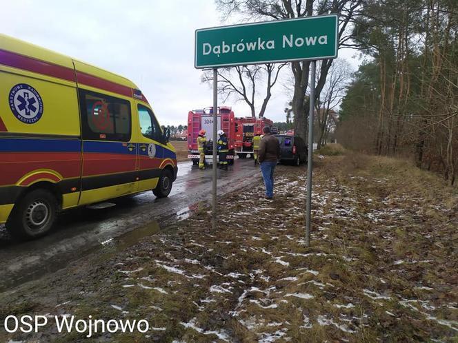 Dąbrówka Nowa. Samochód roztrzaskał się na drzewie! 2 osoby trafiły do szpitala