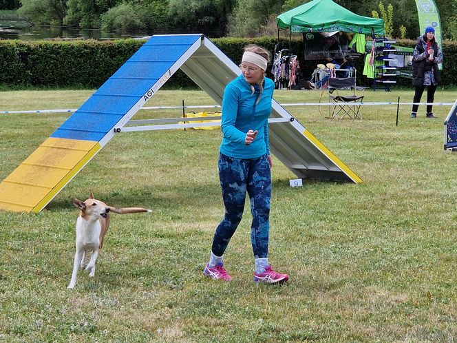 Zawody Agility w Myślęcinku. Psy walczyły o tytuł najzwinniejszego!