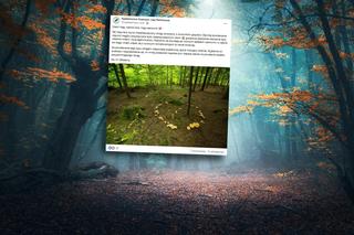 Znaleźli czarci krąg w lesie: „Wejście do kręgu grozi utratą zdrowia!”. Leśnicy pokazali zdjęcie