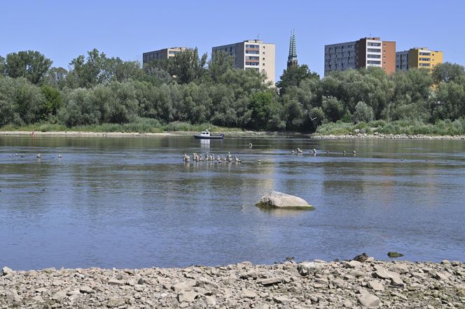 Niski stan wody w Wiśle