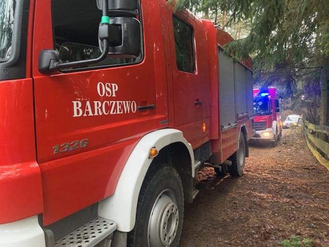 Martwy mężczyzna wisiał na drzewie! Koszmar pod Olsztynem