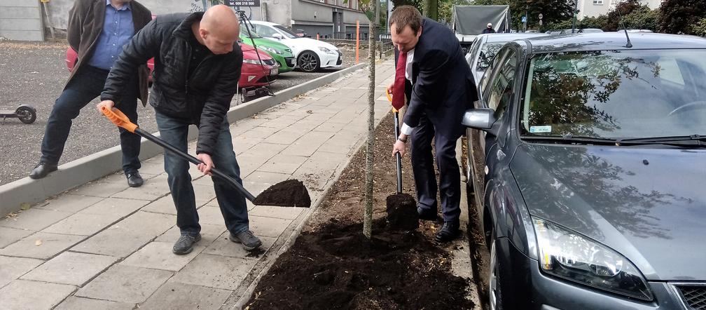  Kolejne drzewa wCOPane w Katowicach! [ZDJĘCIA, WIDEO]