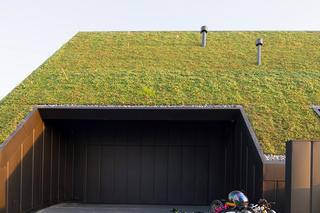 Dom za Dachem w Krakowie