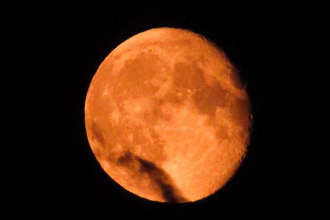 Pomarańczowo-czerwony księżyc nad Toruniem