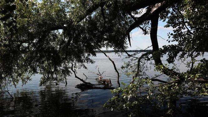 Z Wrocławia na weekend. Stawy Milickie: odwiedź perłę Doliny Baryczy !