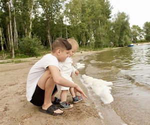 Popularne kąpielisko z zakazem kąpieli. Zakwitły sinice