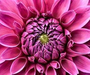 Życzenia imieninowe i urodzinowe dla siostrzenicy. Fajne pomysły na życzenia dla młodej dziewczyny