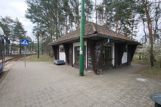 Tak po modernizacji będzie wyglądała pętla tramwajowa w Lesie Gdańskim! 