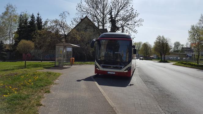 MZK w Lesznie zawiesza linie i kursy. Koronawirus rozłożył kierowców autobusów miejskich 