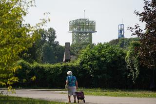 Instalacja Bijące serce Krystyny i koncpecja z 2022 roku