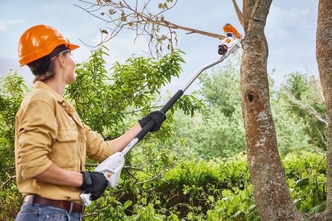 STIHL