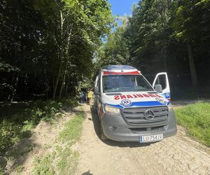 Dzierzkowice-Podwody – osunięcie ziemi na dzieci 