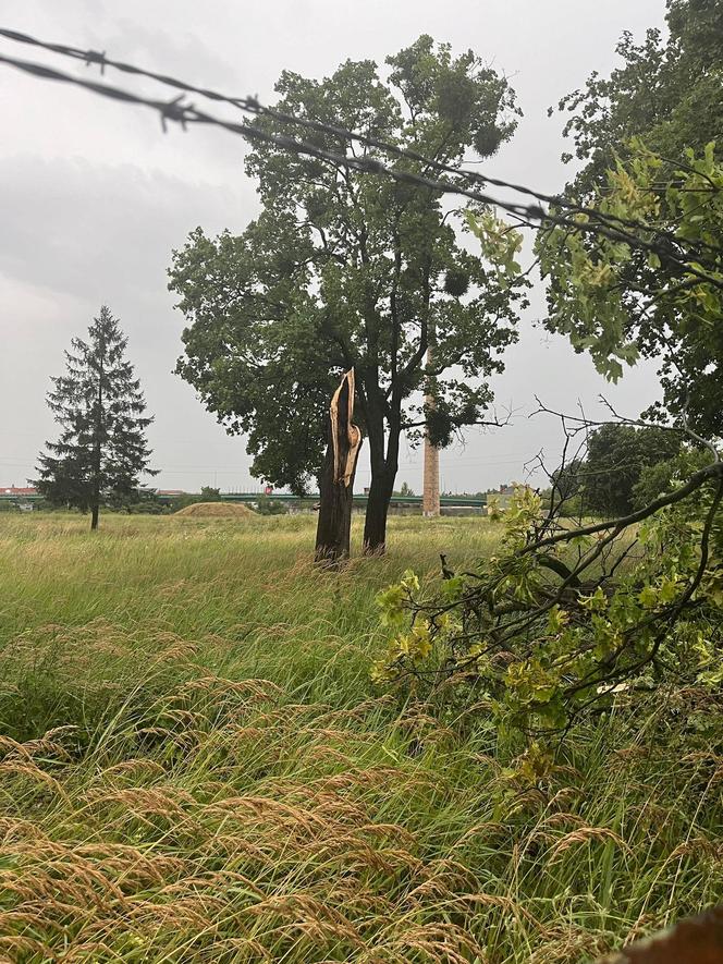 Tragiczne skutki nawałnicy na Kujawach i Pomorzu! Jednej osoba wciąż nie odnaleziono