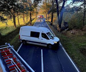 Śmiertelny wypadek pod Polkowicami. Nie żyje kierowca audi [ZDJĘCIA]