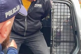 Wjechał busem w rodzinę z dzieckiem. Zatrzymanie 27-latka