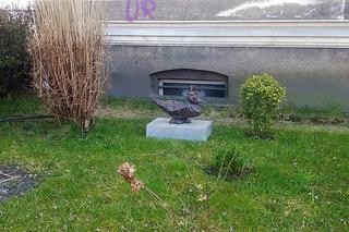Ptaki i ptaszyska