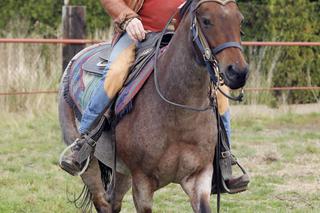 Daniel Olbrychski - codziennie robię 100 brzuszków i boksuje!