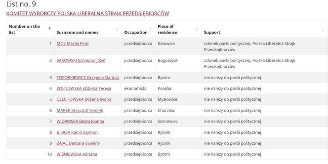 Wybory Europejskie 2024: Listy wyborcze Okręg 11 Śląsk