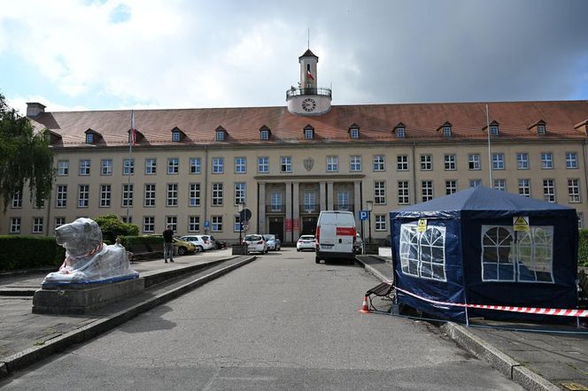 Renowacja koszalińskich lwów