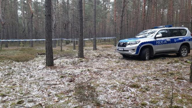 Zwłoki kobiety znaleziono w lesie pod Wyszkowem 