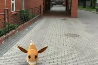 Pokemony w Chorzowie