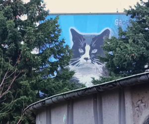Mural z kotem Gackiem już odsłonięty