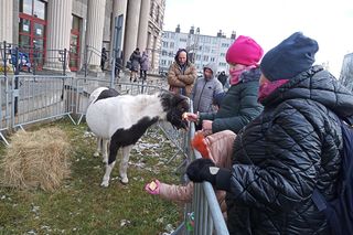 Jarmark Bożonarodzeniowy w Skarżysku-Kamiennej