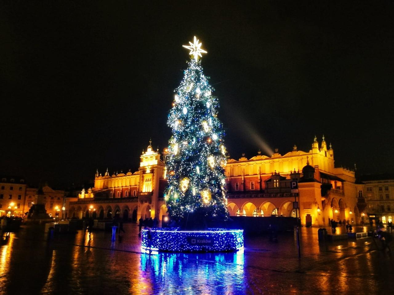 Świąteczna choinka wkrótce rozbłyśnie na Rynku Głównym. Dla mieszkańców przygotowano też inne atrakcje!