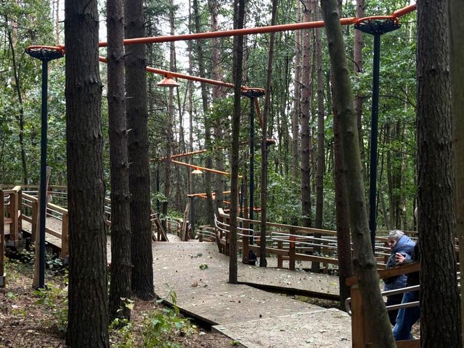 Park Leśny na Oksywiu, Gdynia