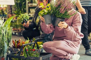 W Lesznie odbędzie się Festiwal Roślin 