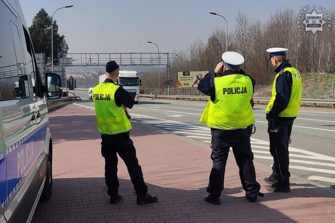 Kontrole na granicach z Czechami i Słowacją. Atakuje pryszczyca