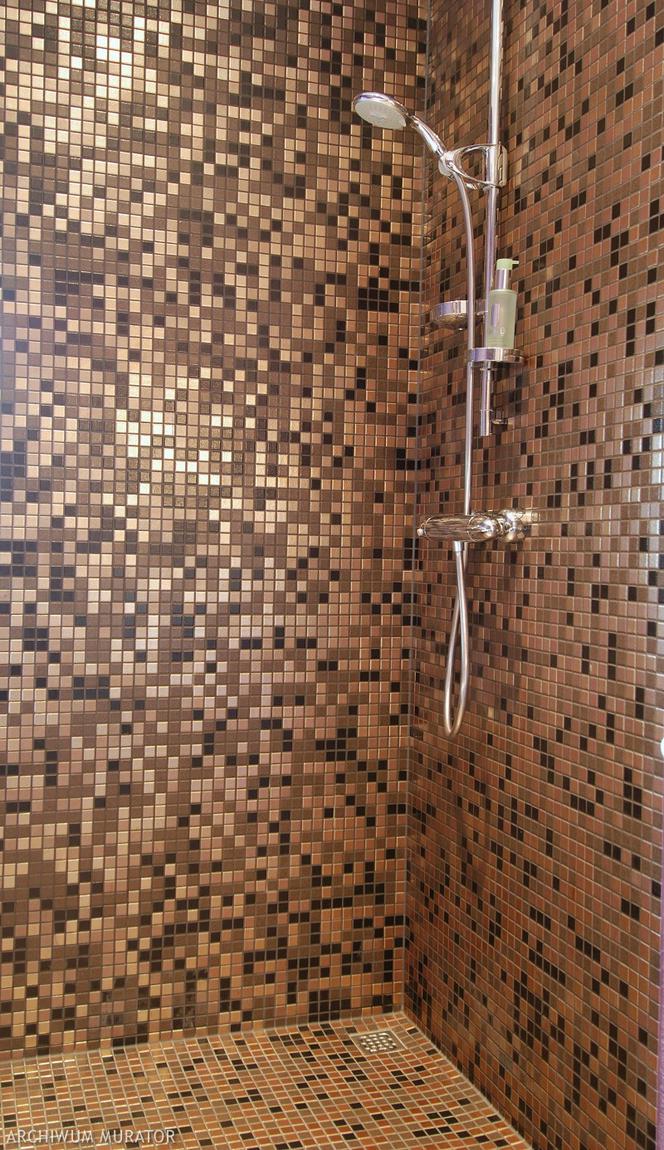 Wnętrze kabiny prysznicowej wyłożone mozaiką