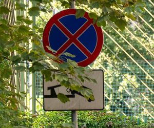 Anna Mucha ma w nosie zakazy