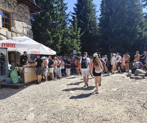 Tatry znacznie droższe niż Bałtyk? Za te potrawy w górach zapłacisz o wiele więcej niż nad morzem