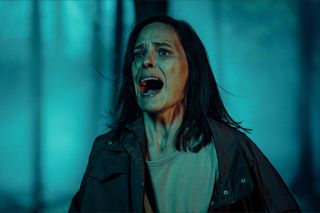 Premiera 3 stycznia w Canal+.