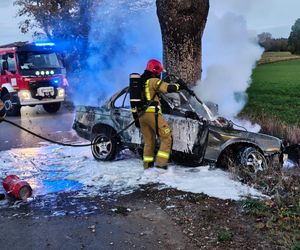 Dwa zwęglone ciała w BMW. Samochód uderzył w drzewo i stanął w płomieniach