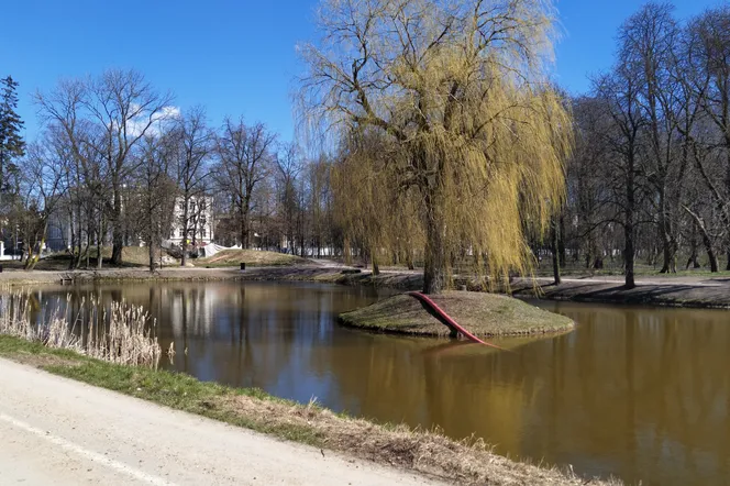 Ostatnie szlify w siedleckim parku. Podglądamy jak wygląda [FOTO GALERIA]