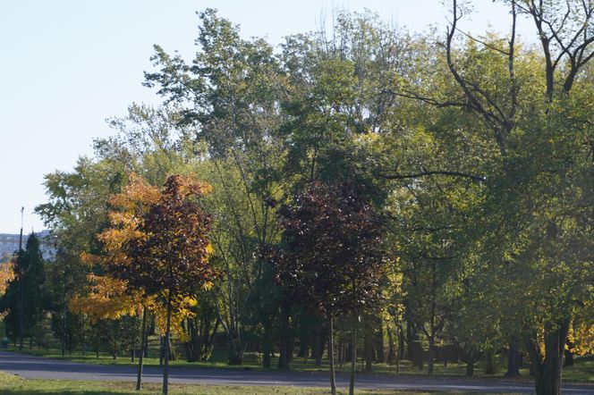 Park im. św. Jana Pawła II w jesiennych barwach