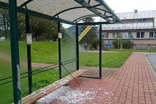 Zniszczone wiaty przystankowe w Muszynie