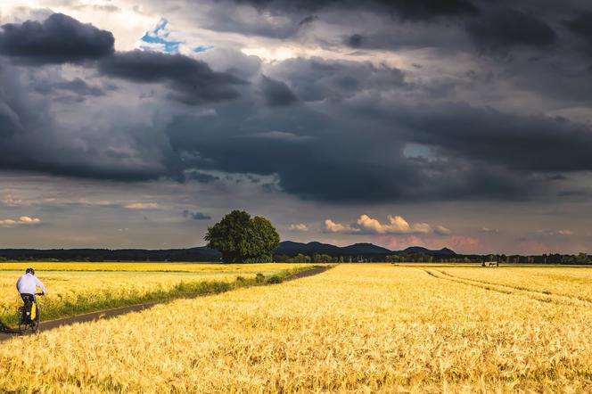 Wielkopolska: IMGW wydał DWA ostrzeżenia dla naszego regionu! Będzie niebezpiecznie!