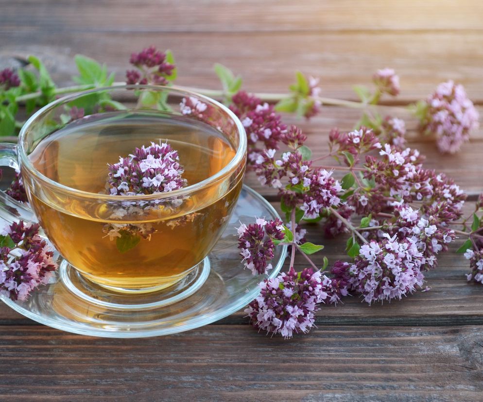 Herbata z oregano - na co pomaga? Przepis na napar z oregano