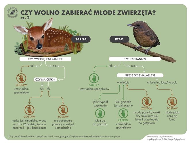 LASY PAŃSTWOWE